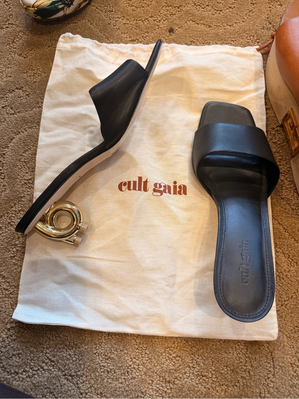 cult gaia Black Leather Slide Mules